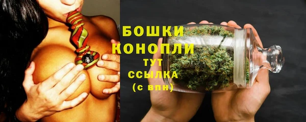 не бодяженный Каменногорск