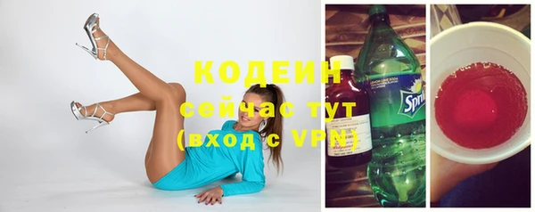 дмт Инсар