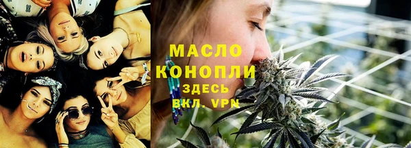 дмт Инсар