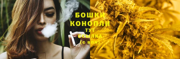 не бодяженный Каменногорск