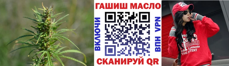 где найти   Кондопога  ОМГ ОМГ как зайти  Дистиллят ТГК Wax 