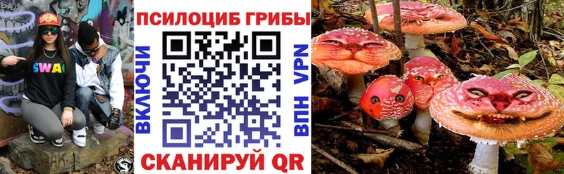 МЕГА вход  цены наркотик  Кондопога  Псилоцибиновые грибы ЛСД 